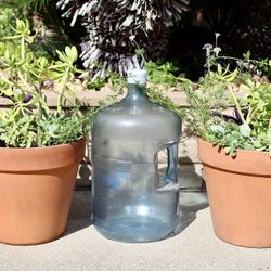 A Pair Of Very New Terracotta Pots With Succulents