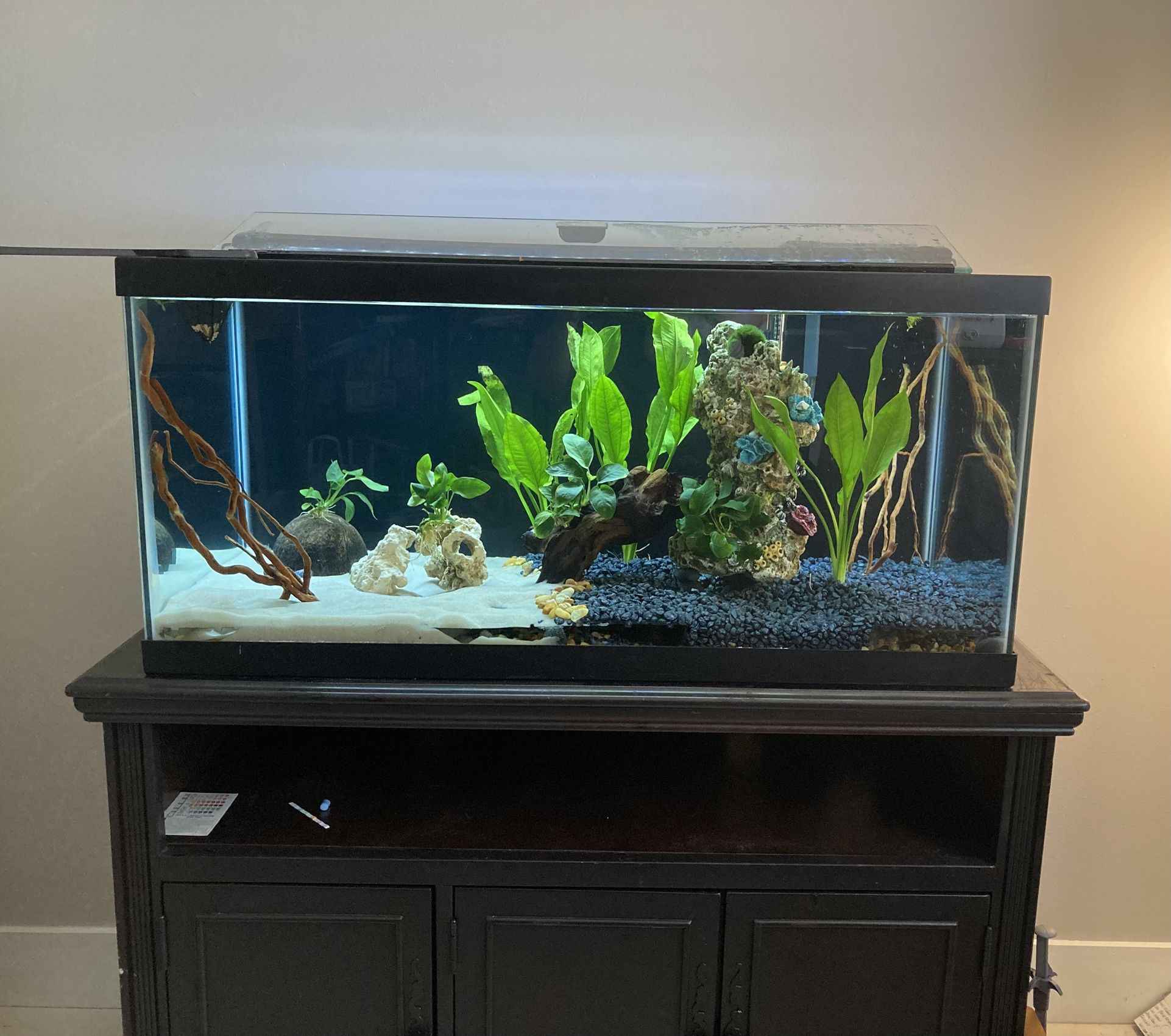 Fish Tank 40 Gallons