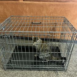 3 door dog kennel