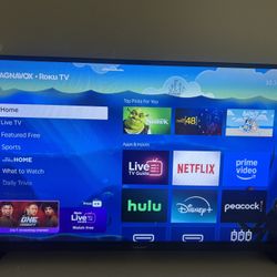 Roku Tv