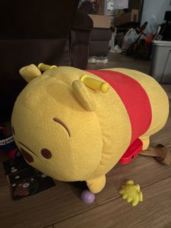 Large Ride on toddler toy