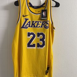 Lebron James NBA Authentic Jersey, Men’s L