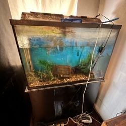 55 Gallon Fish Tank 
