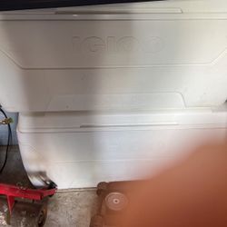 Igloo Cooler 