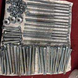 Screw Wood 3 Different Sizes All 60 Pices