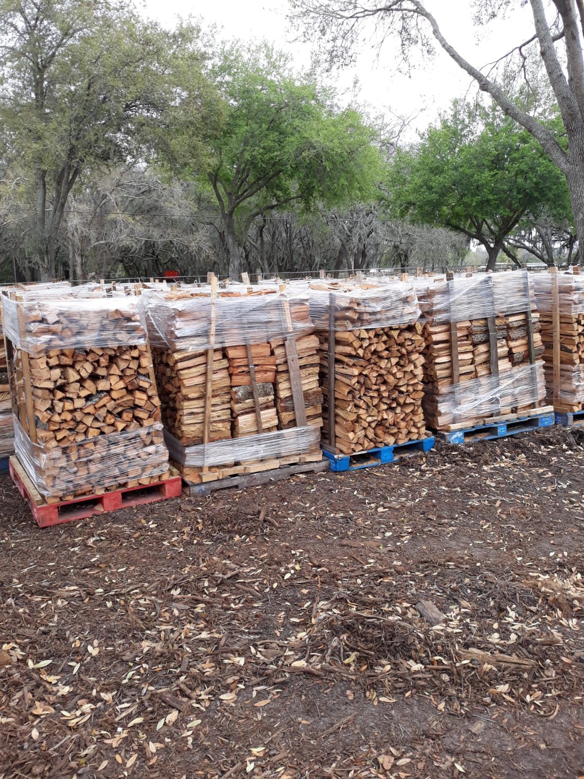 Fire Wood