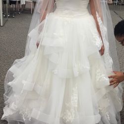 Vera Wang Ivory Wedding Gown With Veil