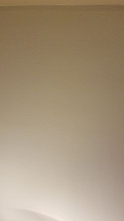 Found small dog( between Harrison and 29th st)