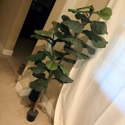 5 Foot Faux Fig Tree
