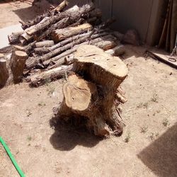 Seasoned Wood Stump