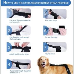 Merry Milo Dog Knee Brace 