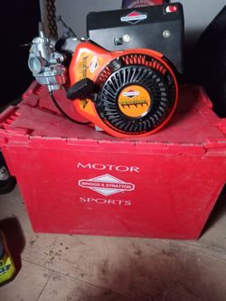 Briggs & Stratton Animal Racing Engine