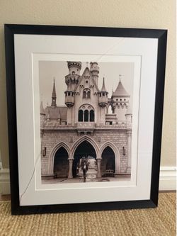25x30 Walt Disney professionally framed heavy duty picture