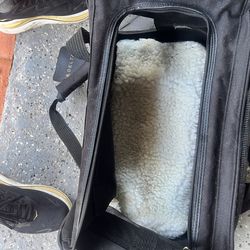 Pitt airline carry-on crate with miscellaneous dog supplies