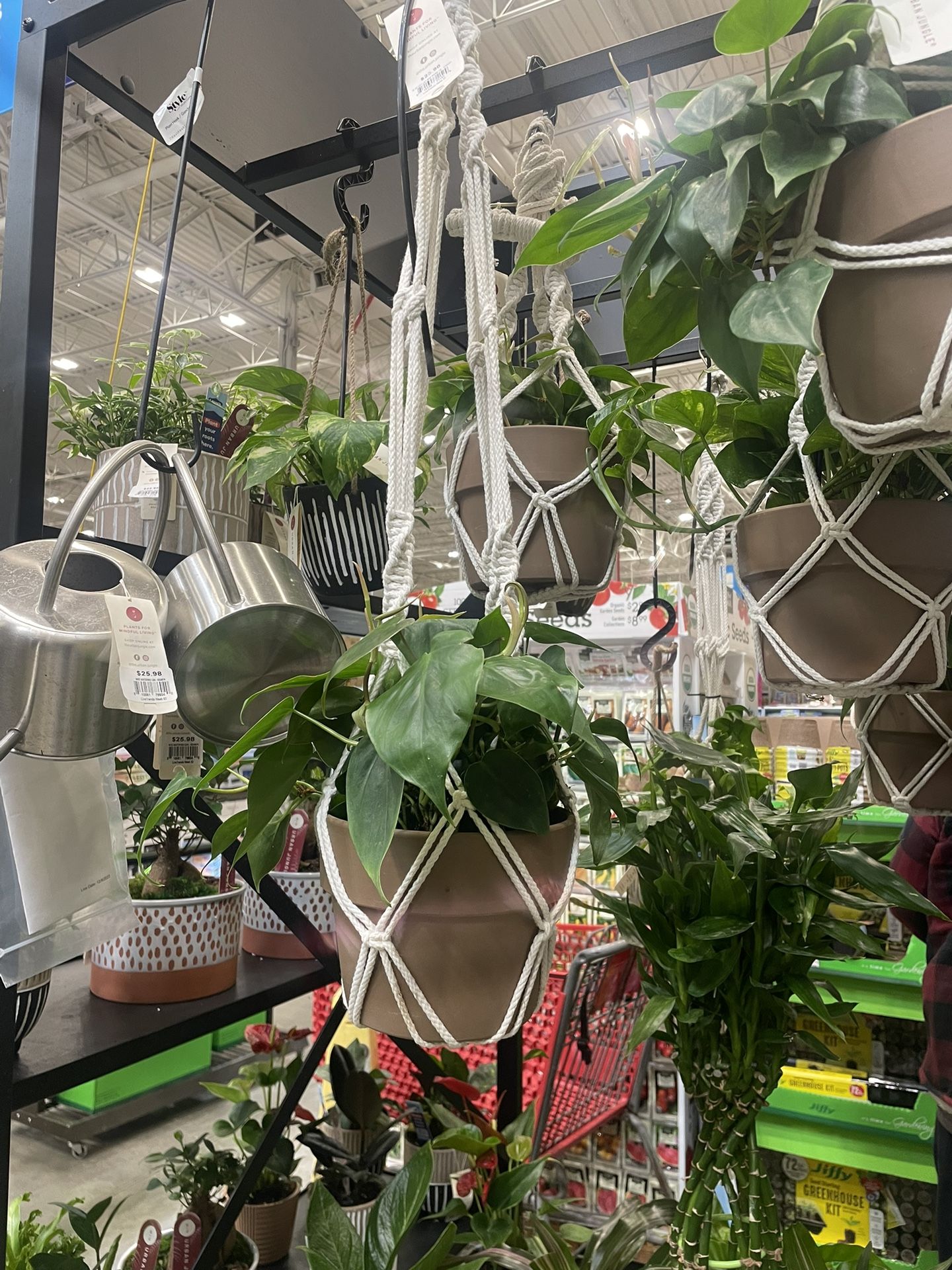 Plant Holder 