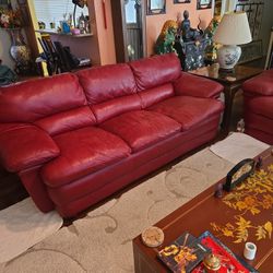 Beautiful In Good Condition (Smoke/PetFree House