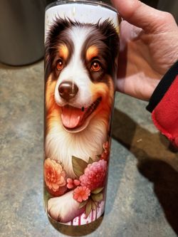 austrailian shepherd  Tumbler  New