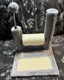 Small Cat Scratch Post (new)