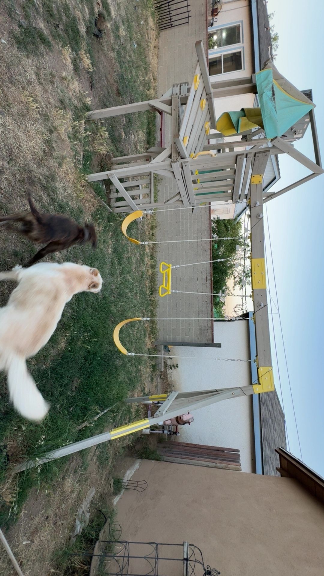 Swing Set