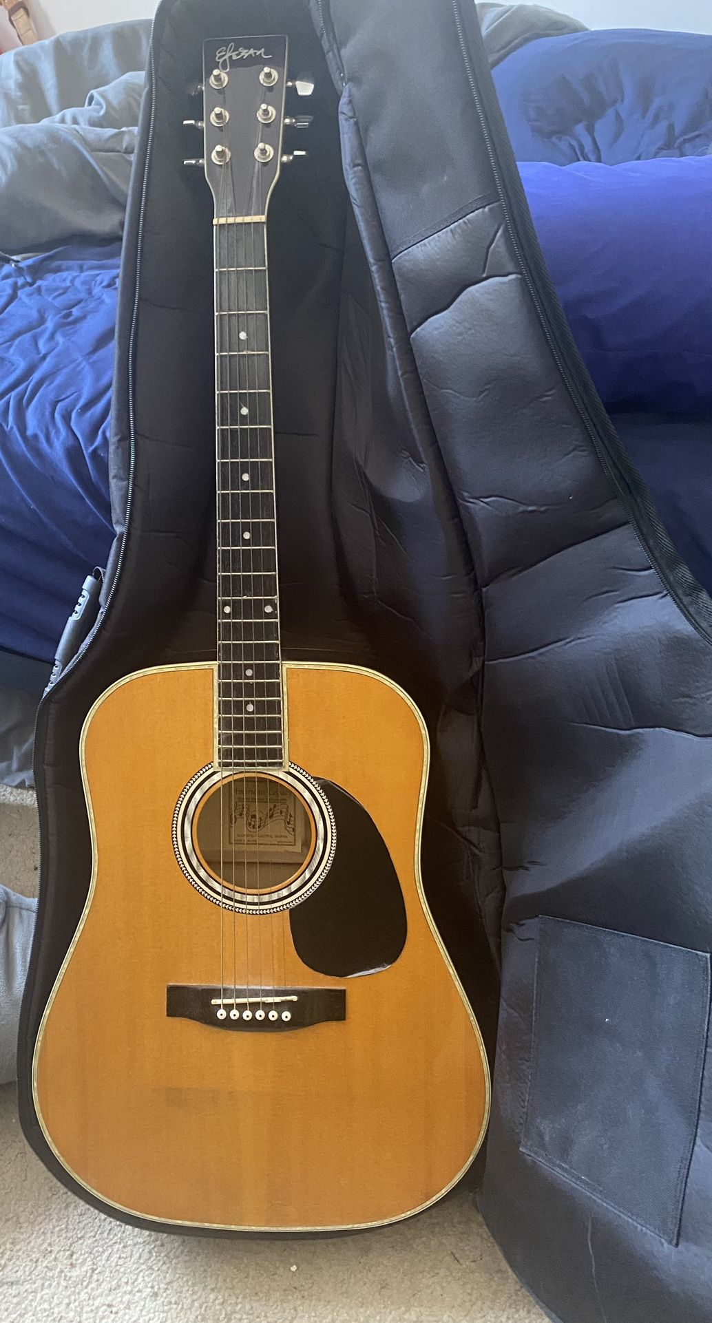 Vintage Elezan Guitar And Case