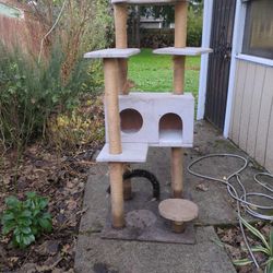 Cats Tree Tower Free