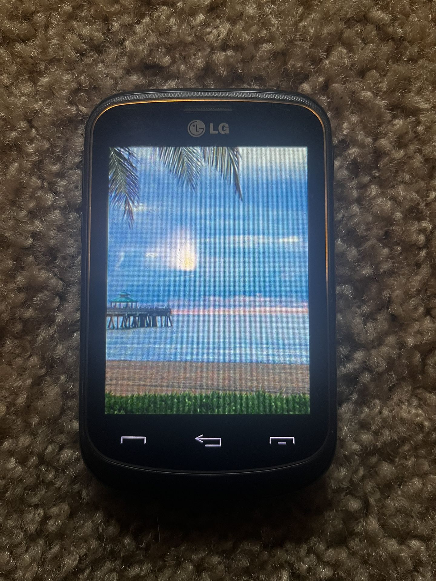 LG 306g