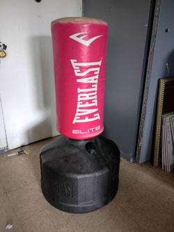 Everlast delite punching bag