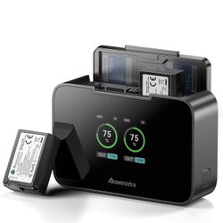 NP-FW50 Battery and Fast Dual Charger with SD Card Slots