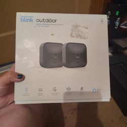 Two Blink Outdoor Weather Resistant Cameras 