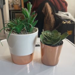 Two Little Planters  Faux  