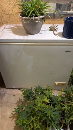 Haier Chest Freezer