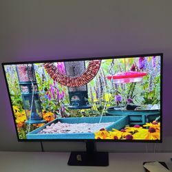 TCL 50 Inch Roku TV