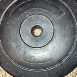 Set Of 2 25lb Weight Plates