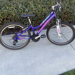 Schwinn Bike Like New 