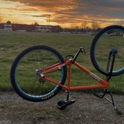 Orange Palm 29er 