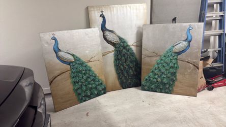 Peacock Artwork