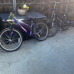 Boy And Girls Bikes