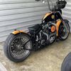 DSM Custom Exotics 