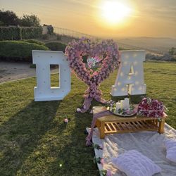 Picnic Proposal