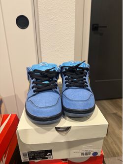 Nike Dunk low SB 10.5