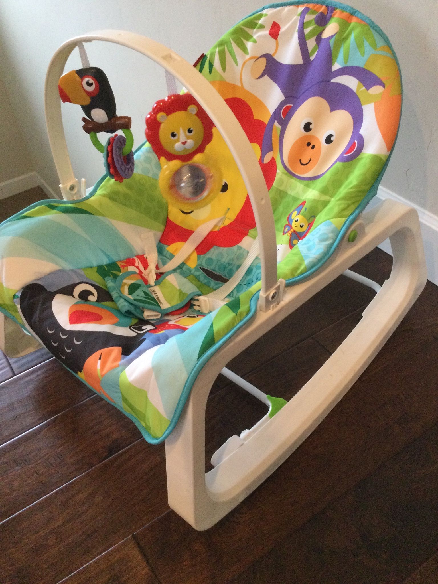 Fisher Price Infant To Toddler Rocker
