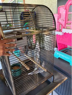 Bird cage