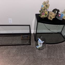 Aquarium/Tank