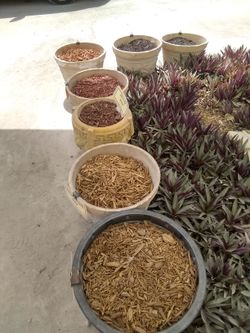 Mulch and organic topsoil