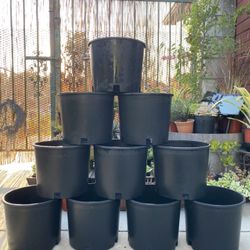 3 Gallon Pots