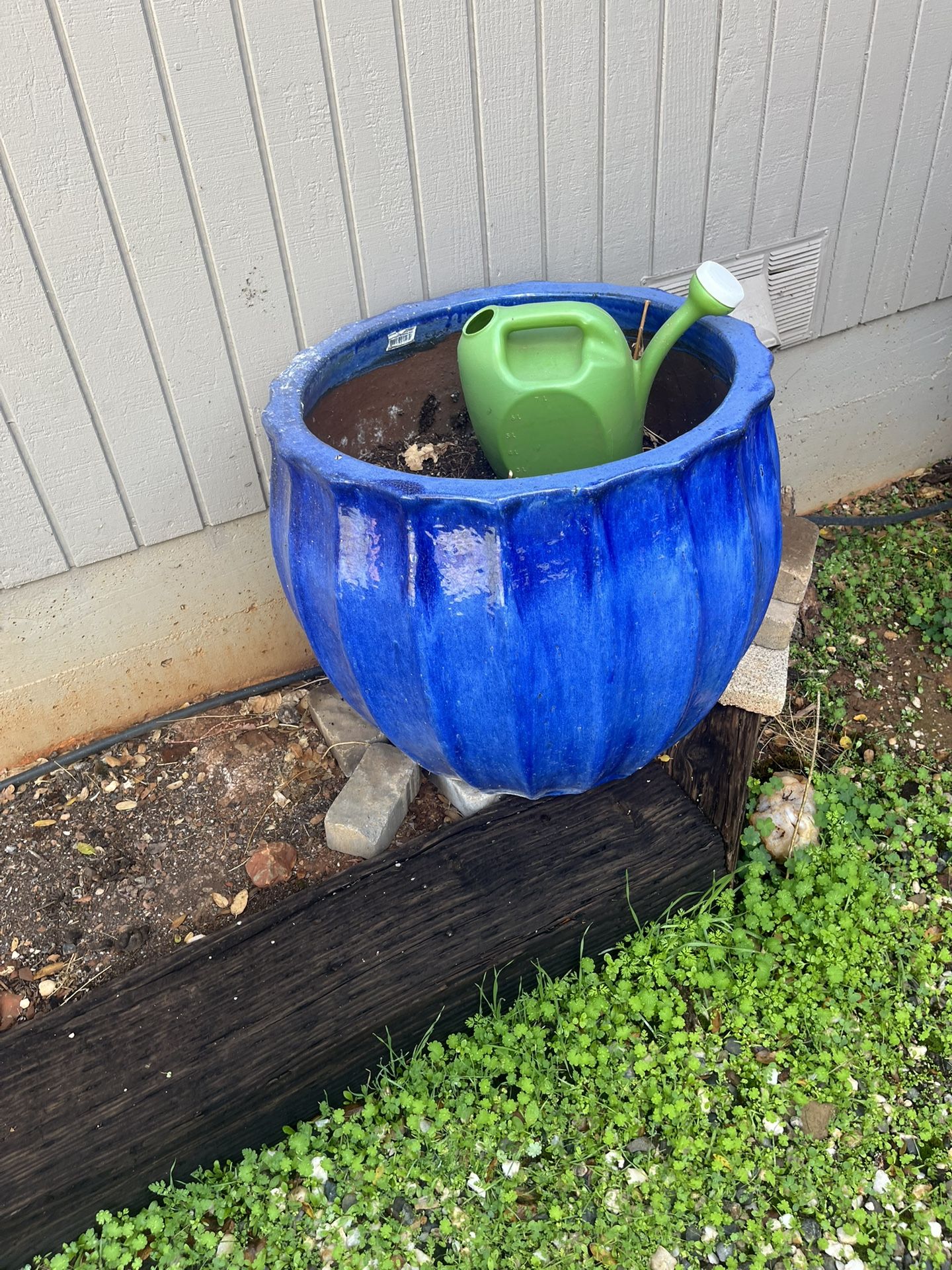 large plant pot 