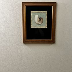 Framed and matted picture palm tree and shells