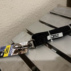 Dog Leash