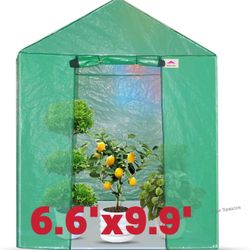 Portable Walk-in Greenhouse Instant pop-up Indoor and Outdoors Plants Garden Greenhouse Canopy 6.6'x9.9' roll Zipper Entry Door and Floor Beam Constru