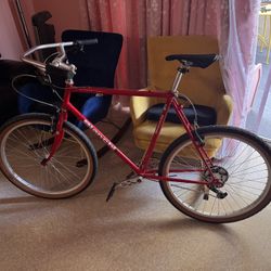 Bianchi Bike 1x10 Bike